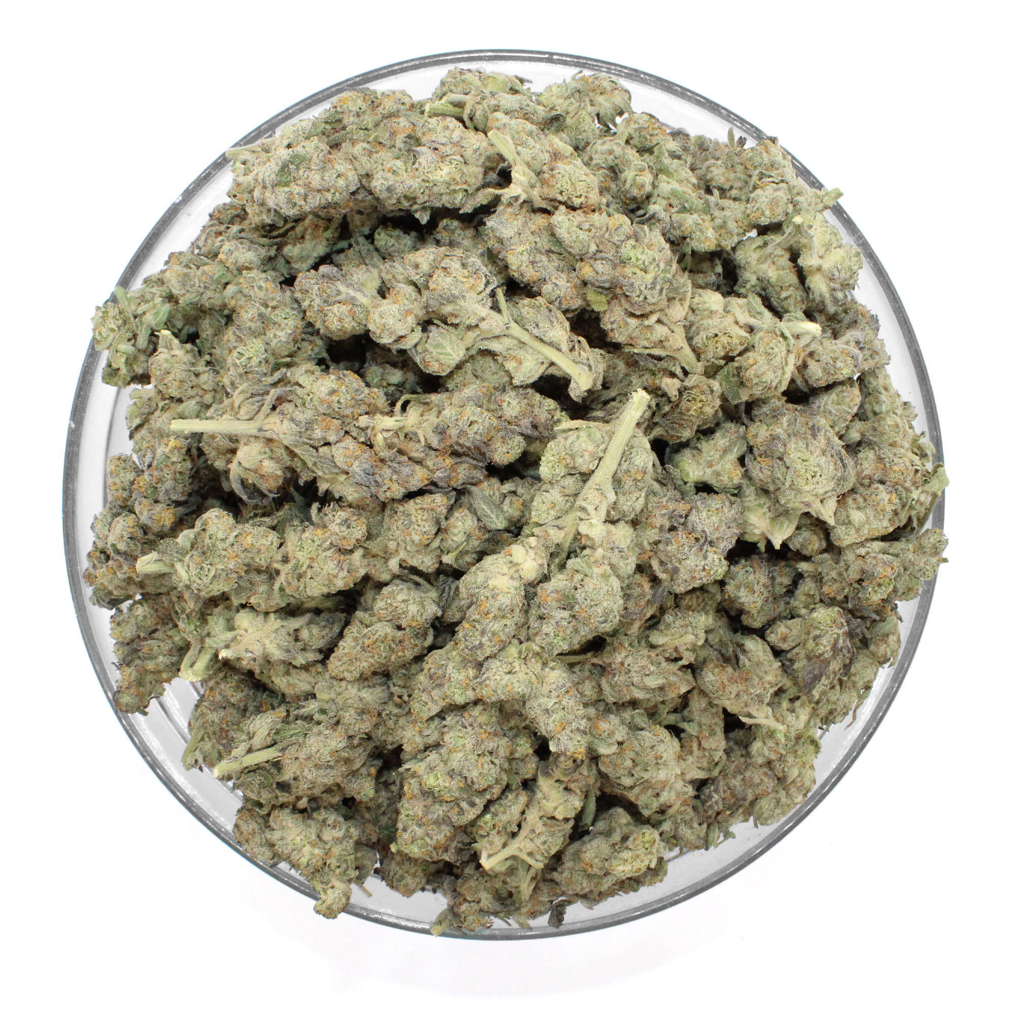 Purple Gelato Flower 3 Purple Gelato Flower - Image 3