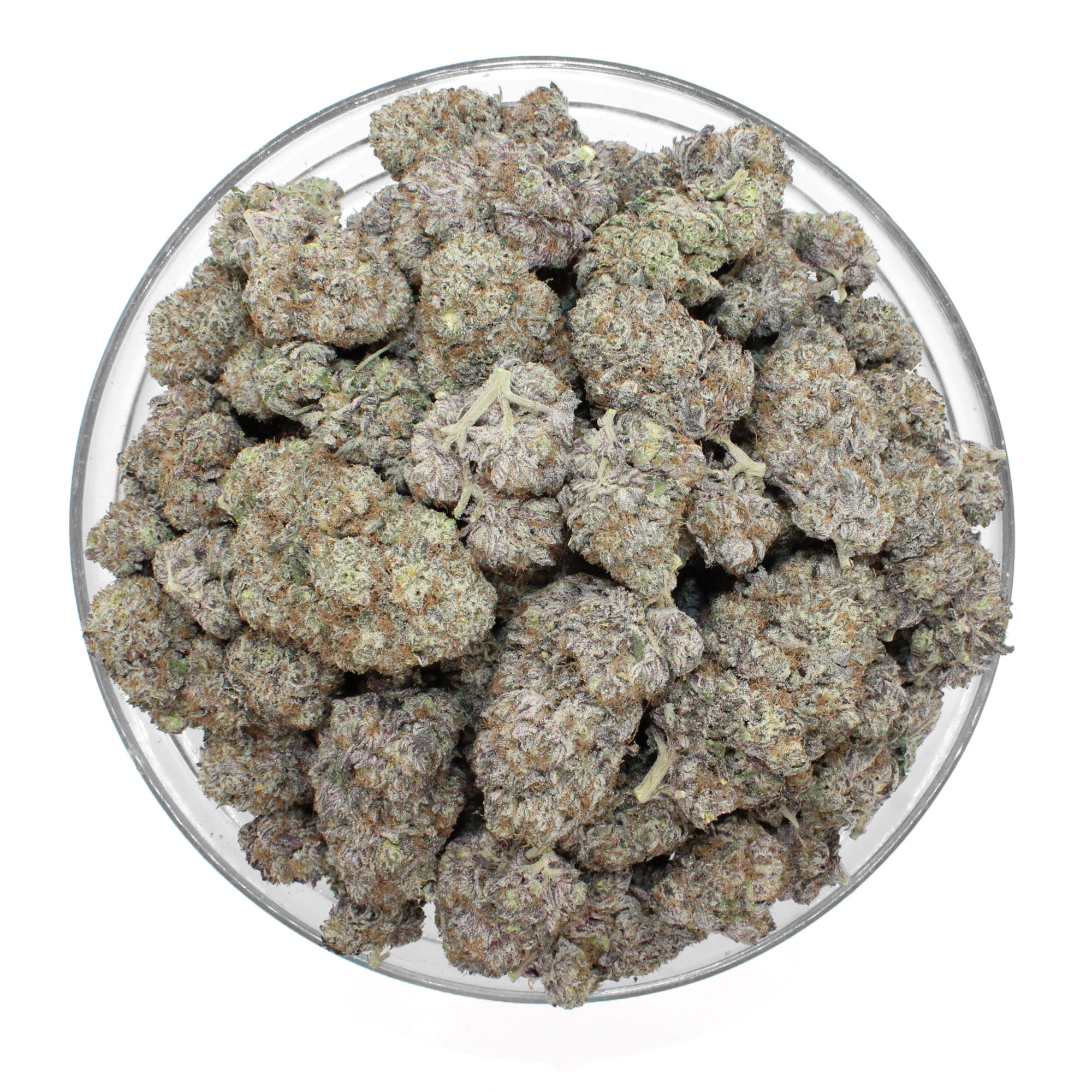 Purple Pineapple Flower 3 Purple Pineapple Flower - Image 3