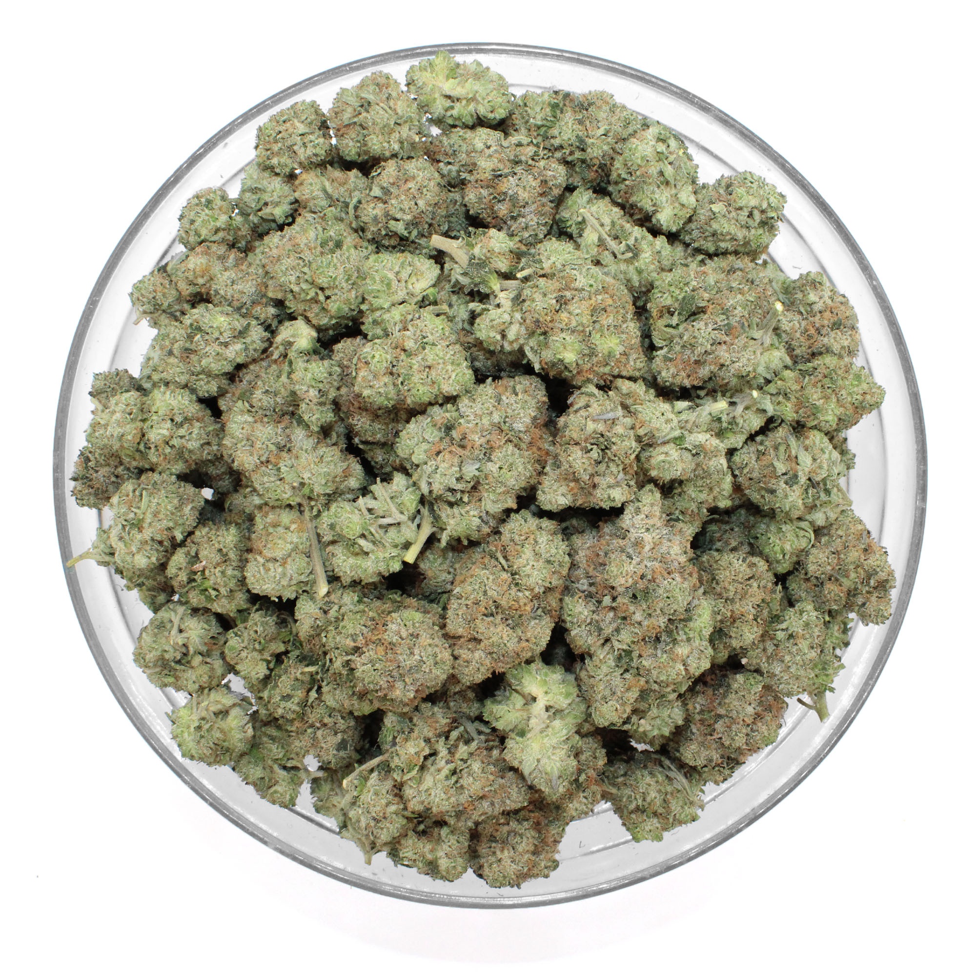 Mellow Man Flower 3 Mellow Man Flower - Image 3