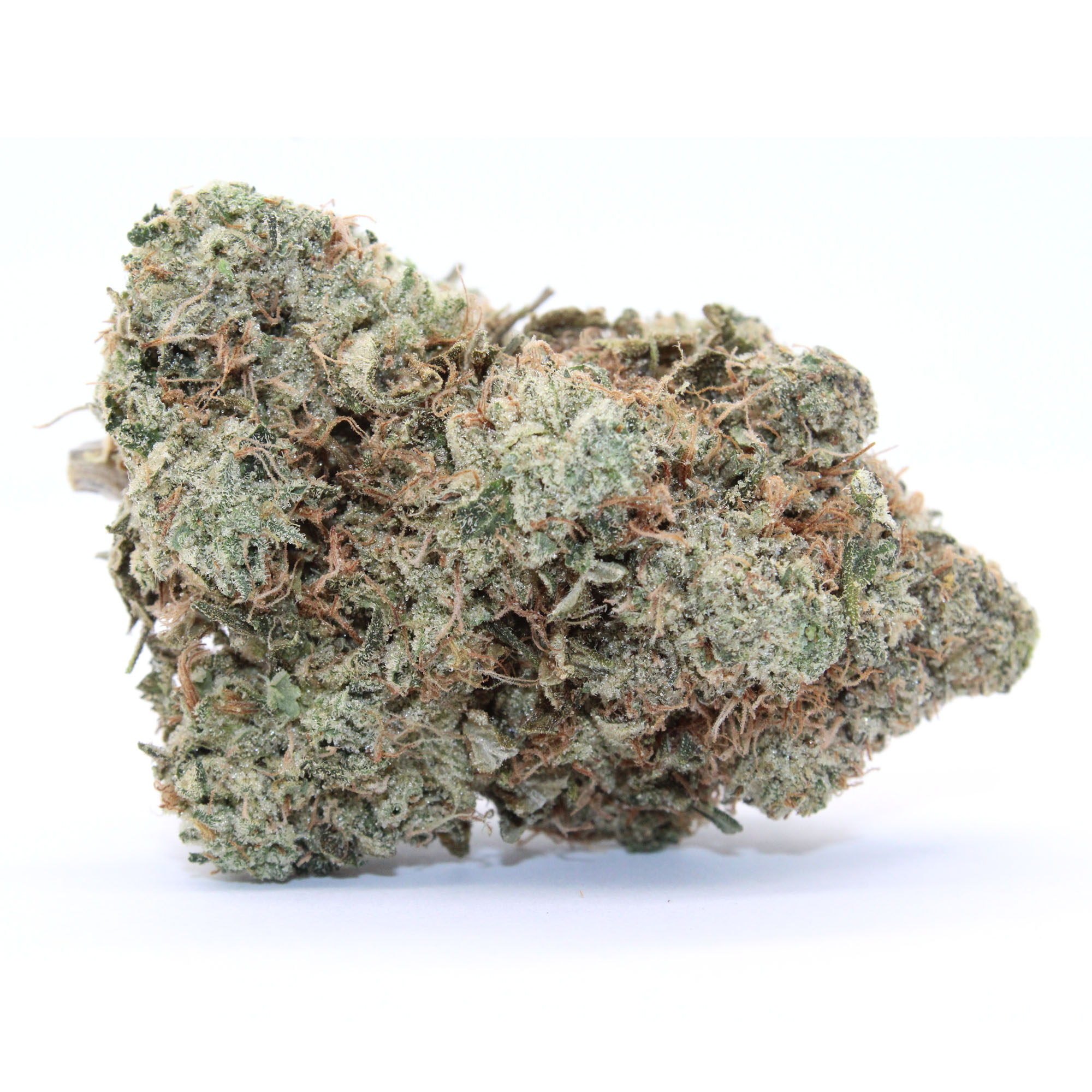 Black Cherry Garlic Flower