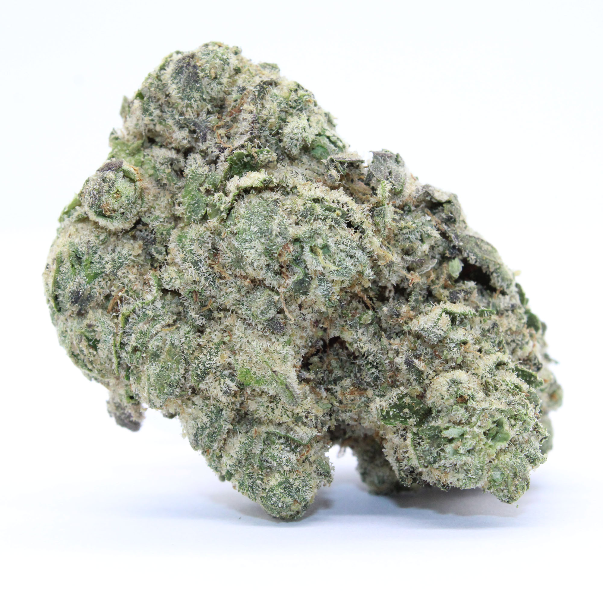 Tequilla Sunrise Flower