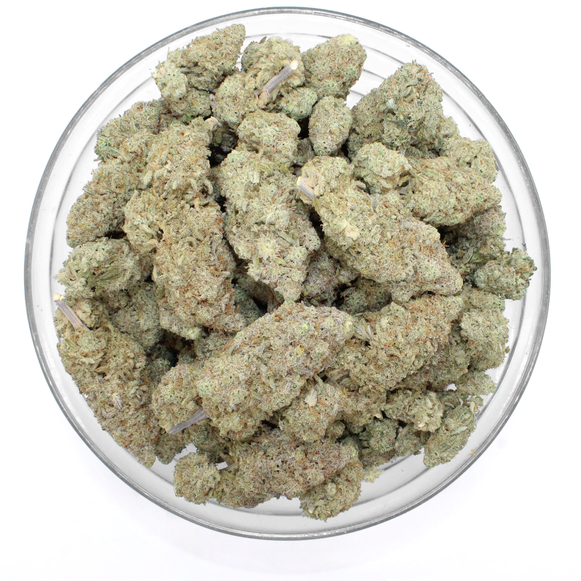 Lemon Skunk Flower 3 Lemon Skunk Flower - Image 3