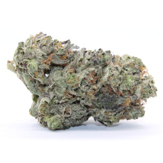 Blackberry Snowcone Flower (Gas)