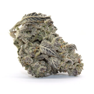 Rocky Mountain Blueberry Flower