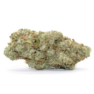Alien Huckleberry Flower