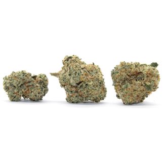 Purple Jokerz Flower (Smalls)