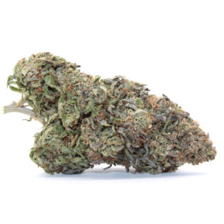 Rockstar Flower