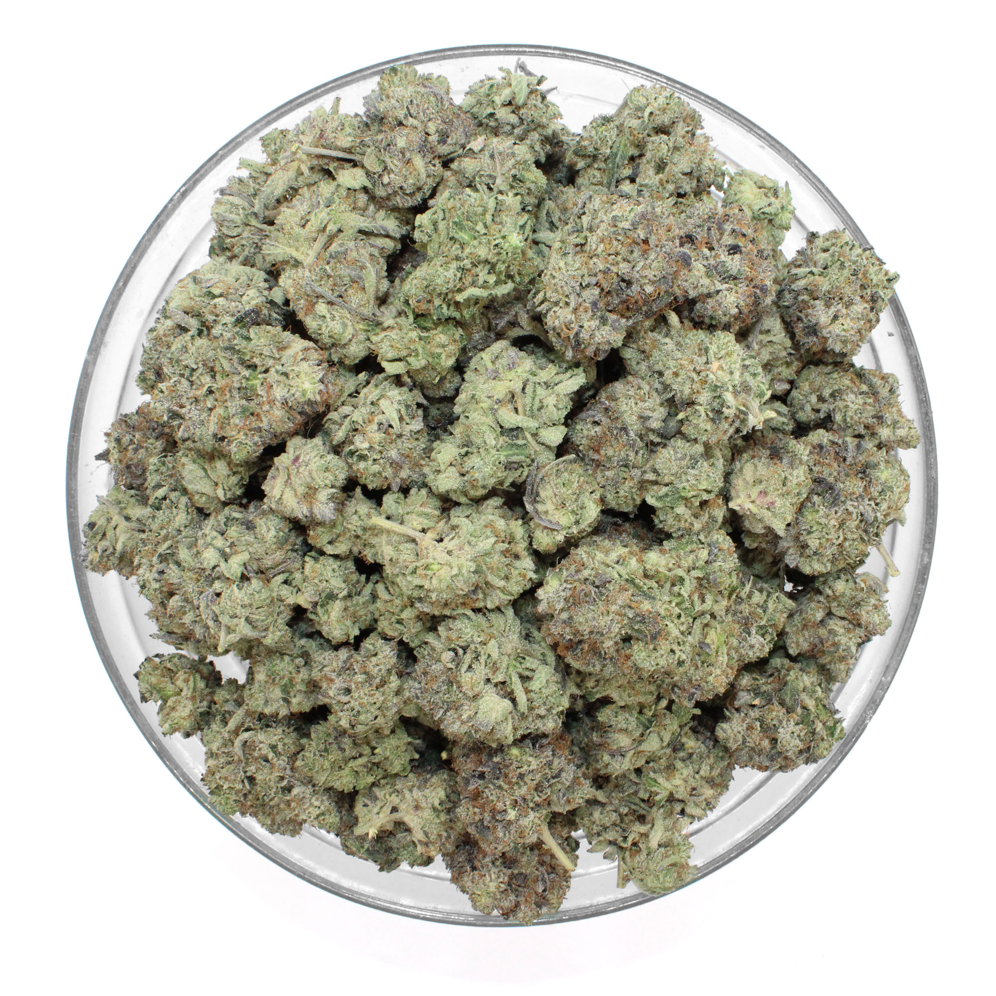 Rockstar Flower 3 Rockstar Flower - Image 3