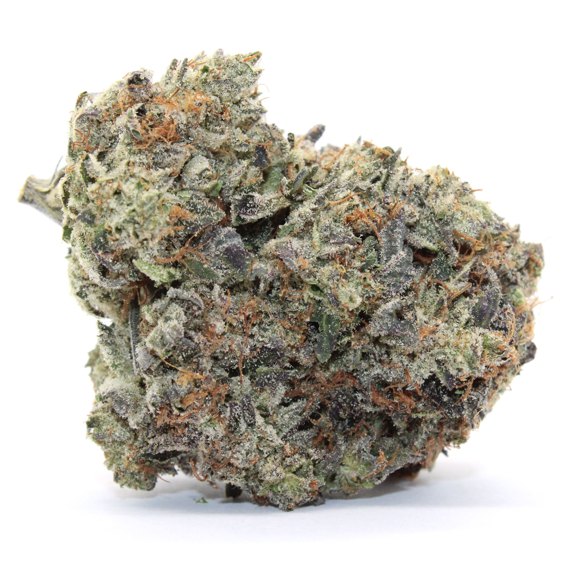 Rockstar Flower 1 Rockstar Flower
