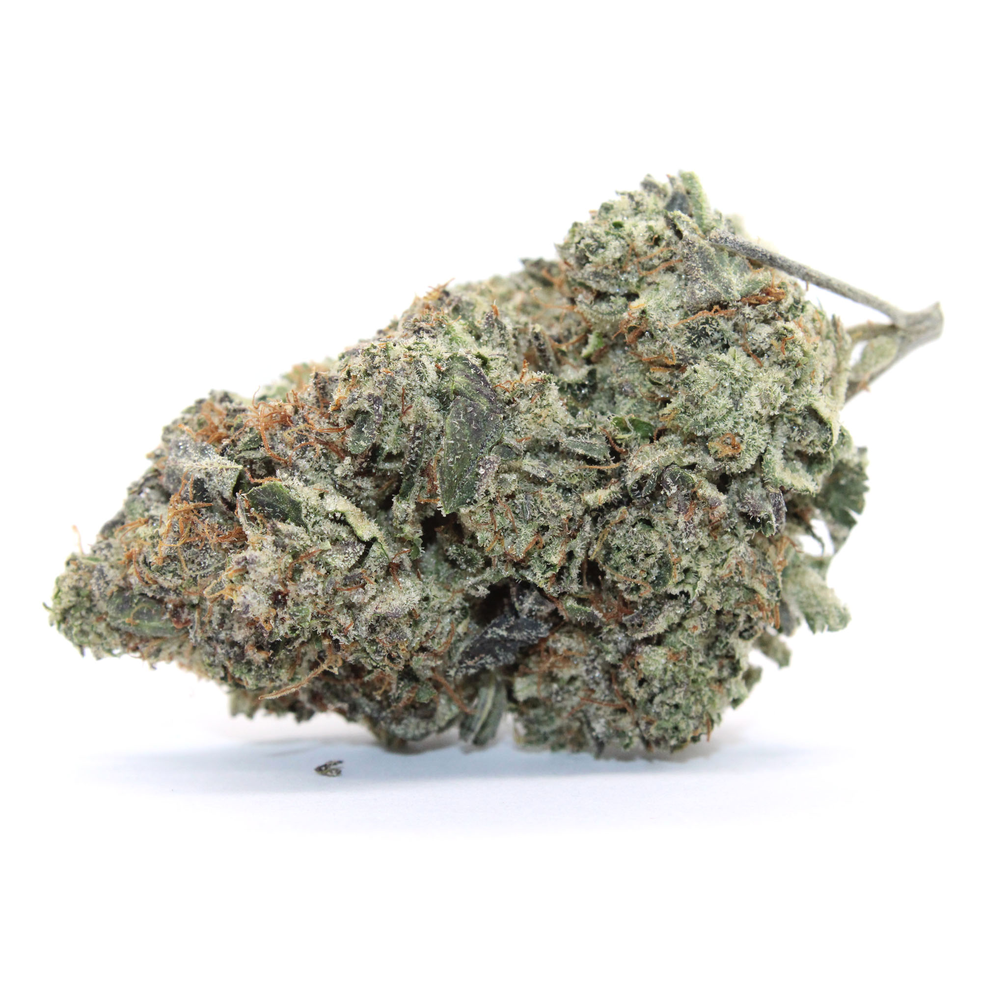 Rockstar Flower 2 Rockstar Flower - Image 2