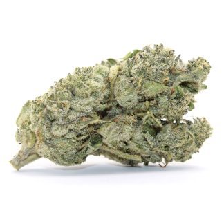 Sweet Gas Flower