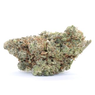 Candy Star Flower