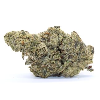 Madzilla Flower