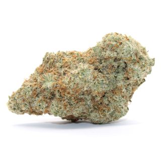 Orange Octane Flower