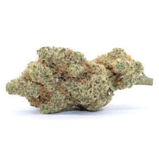 Unibomber Flower
