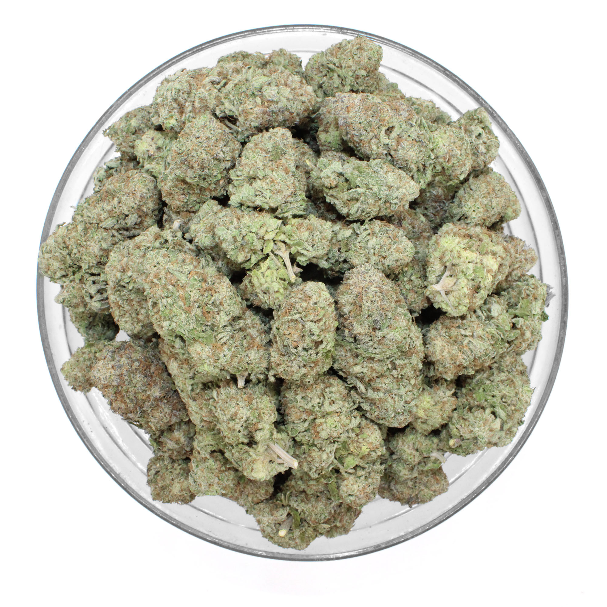 White Truffle Flower (gas) 4 White Truffle Flower (gas) - Image 4