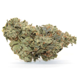 Pink Rockstar (Gas) Flower