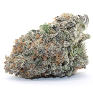 Pink Rockstar (Gas) Flower