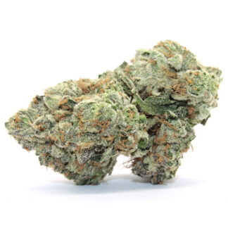Lime-O-Rilla  Flower