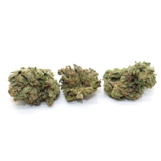 Gas Face Flower (smalls)