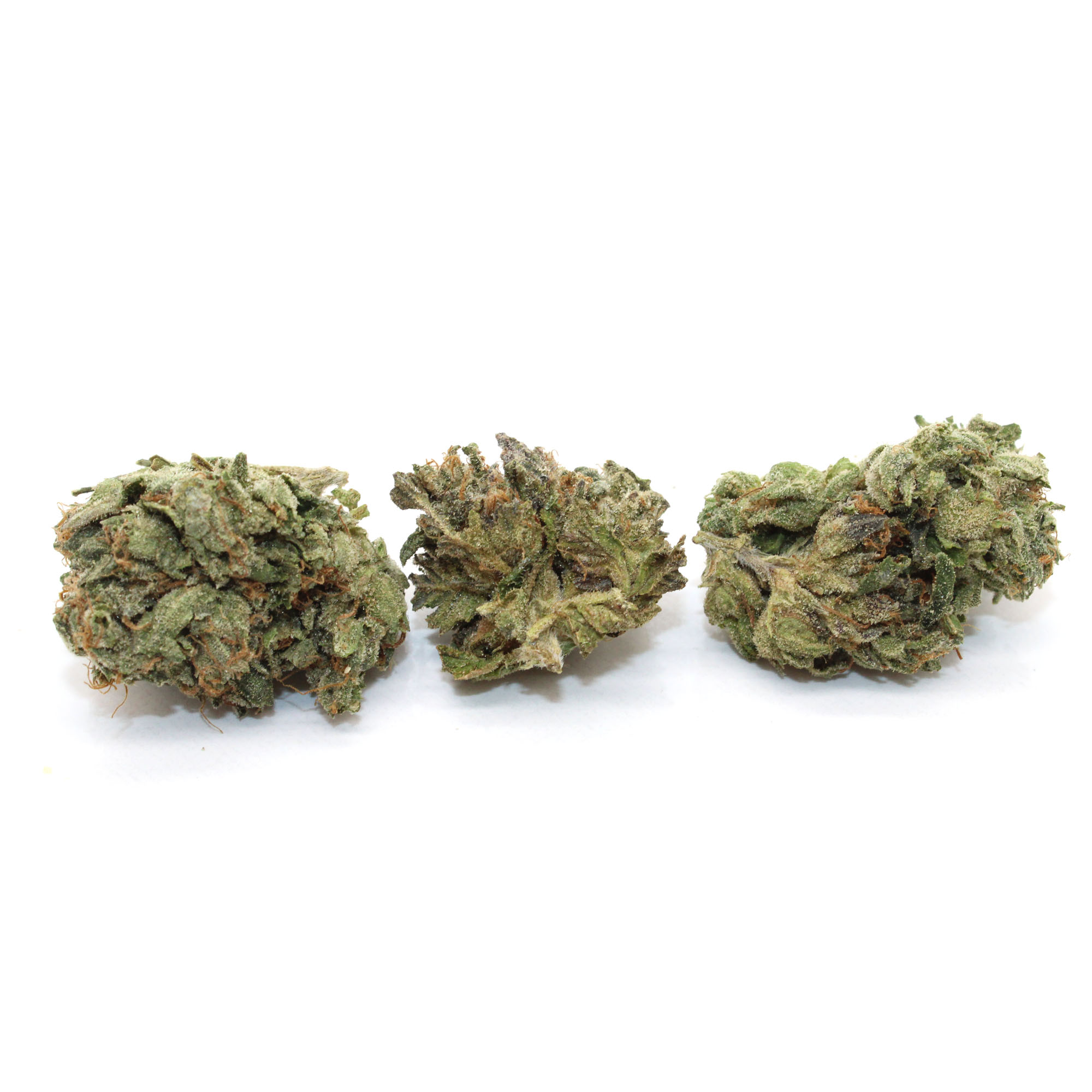 Gas Face Flower (smalls) 1 Gas Face Flower (smalls)