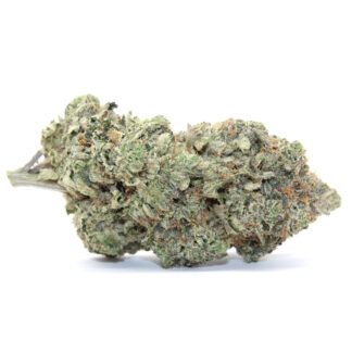 Pink Man Goo Flower (Gas)