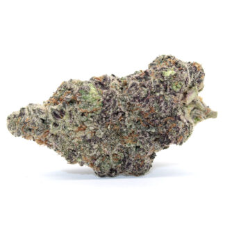 Tropics Flower