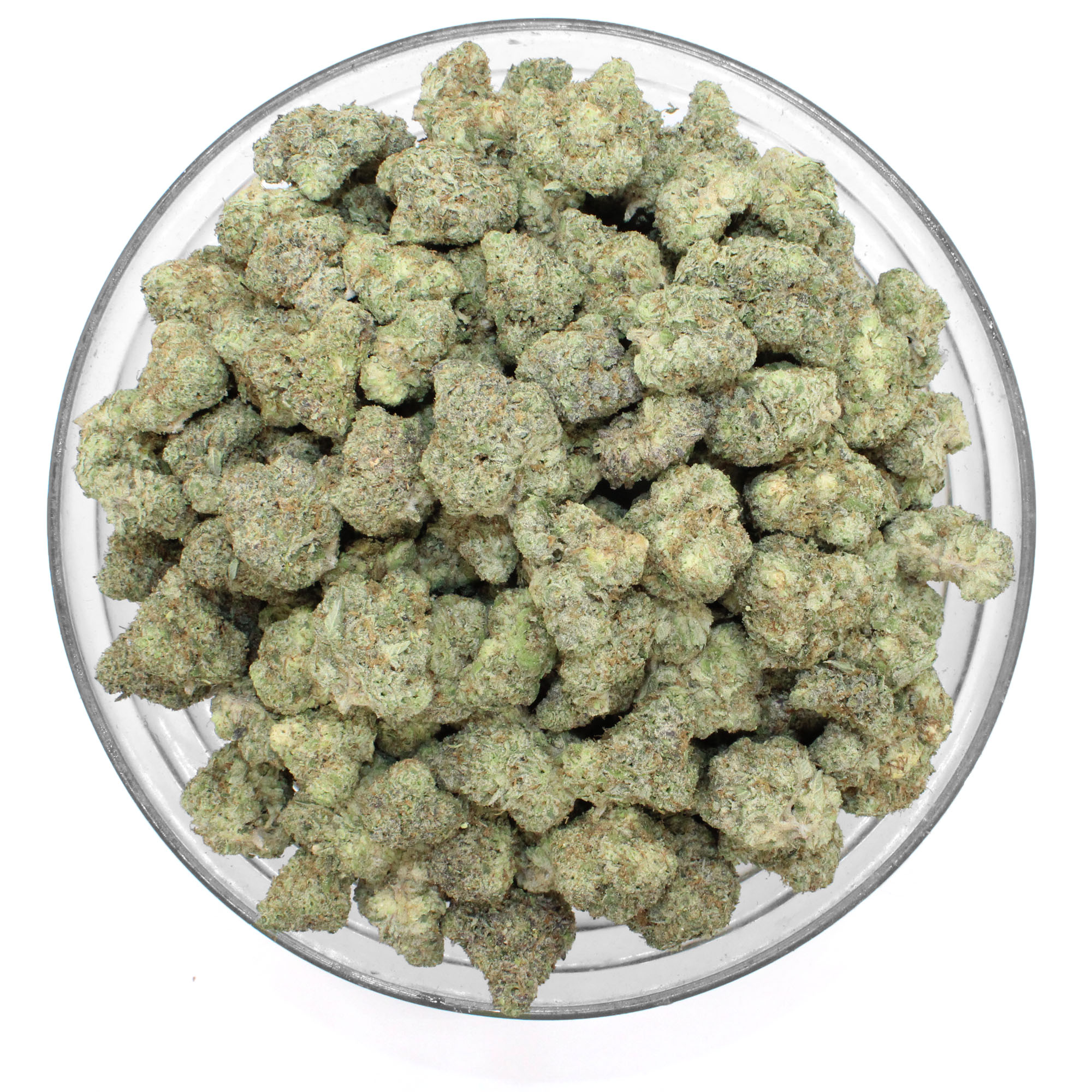 White Kryptonite Flower 3 White Kryptonite Flower - Image 3
