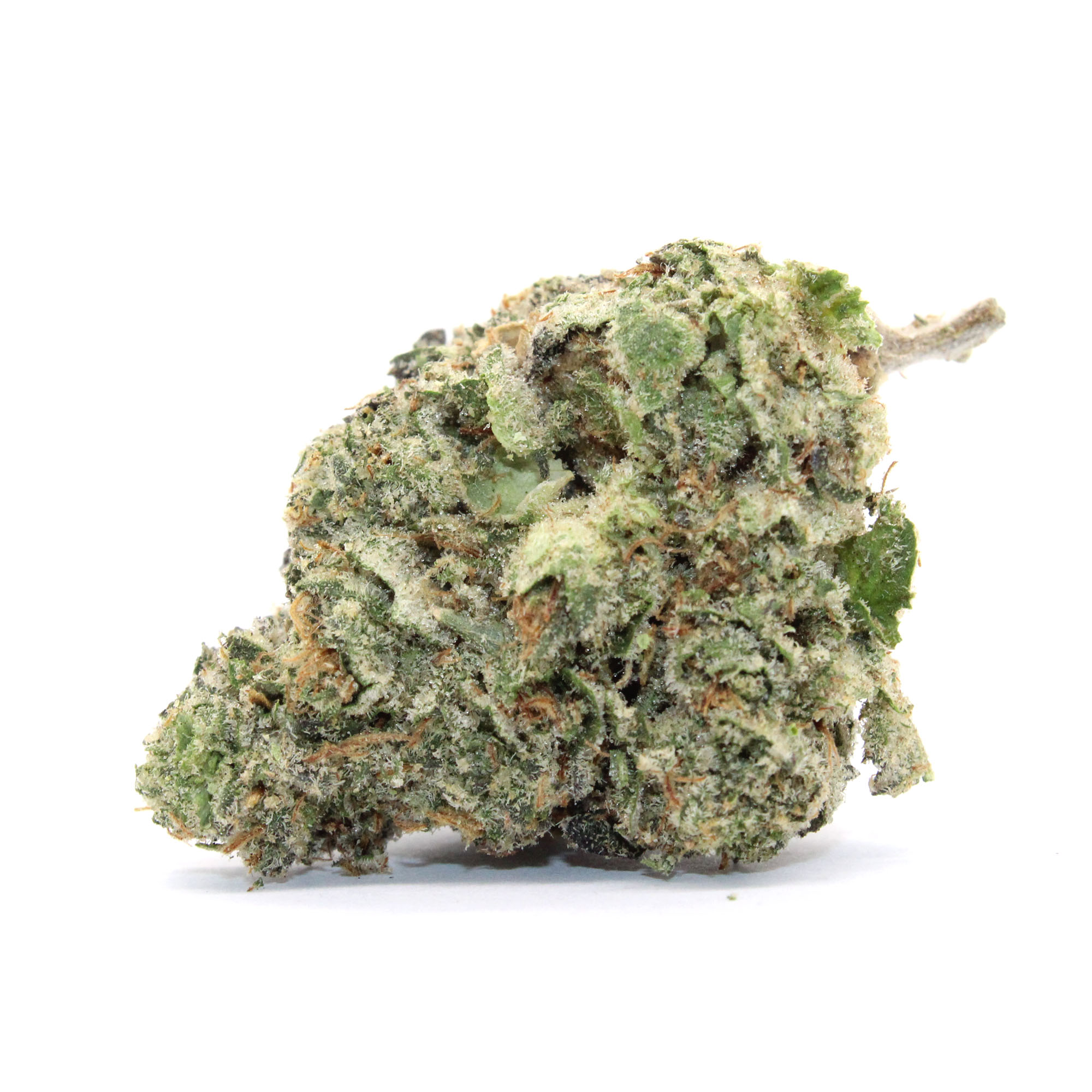 White Kryptonite Flower 1 White Kryptonite Flower