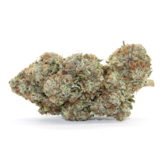 Blueberry Pie Flower