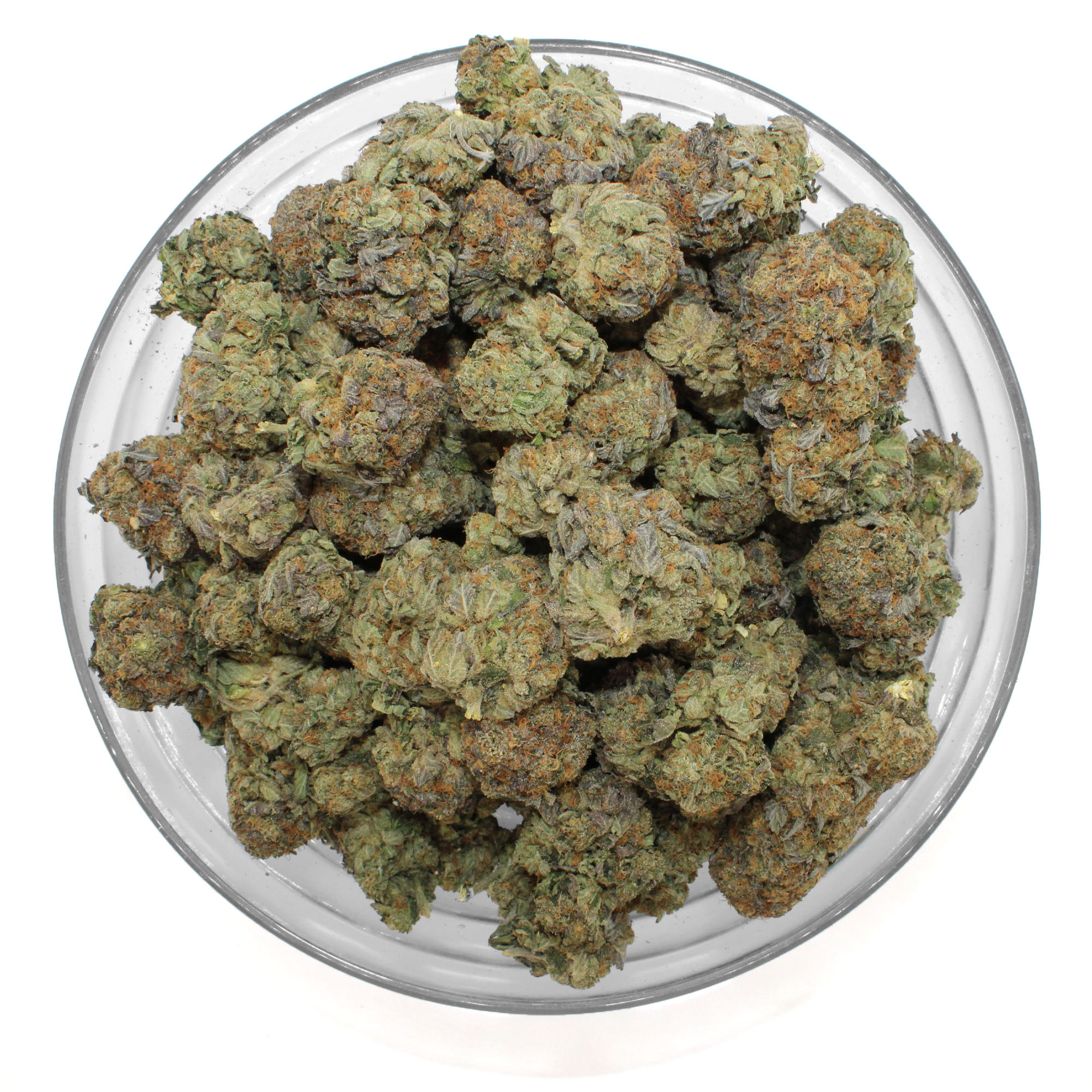 EL Chapo Flower 3 EL Chapo Flower - Image 3