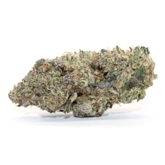 Strawberry Gary Payton Flower