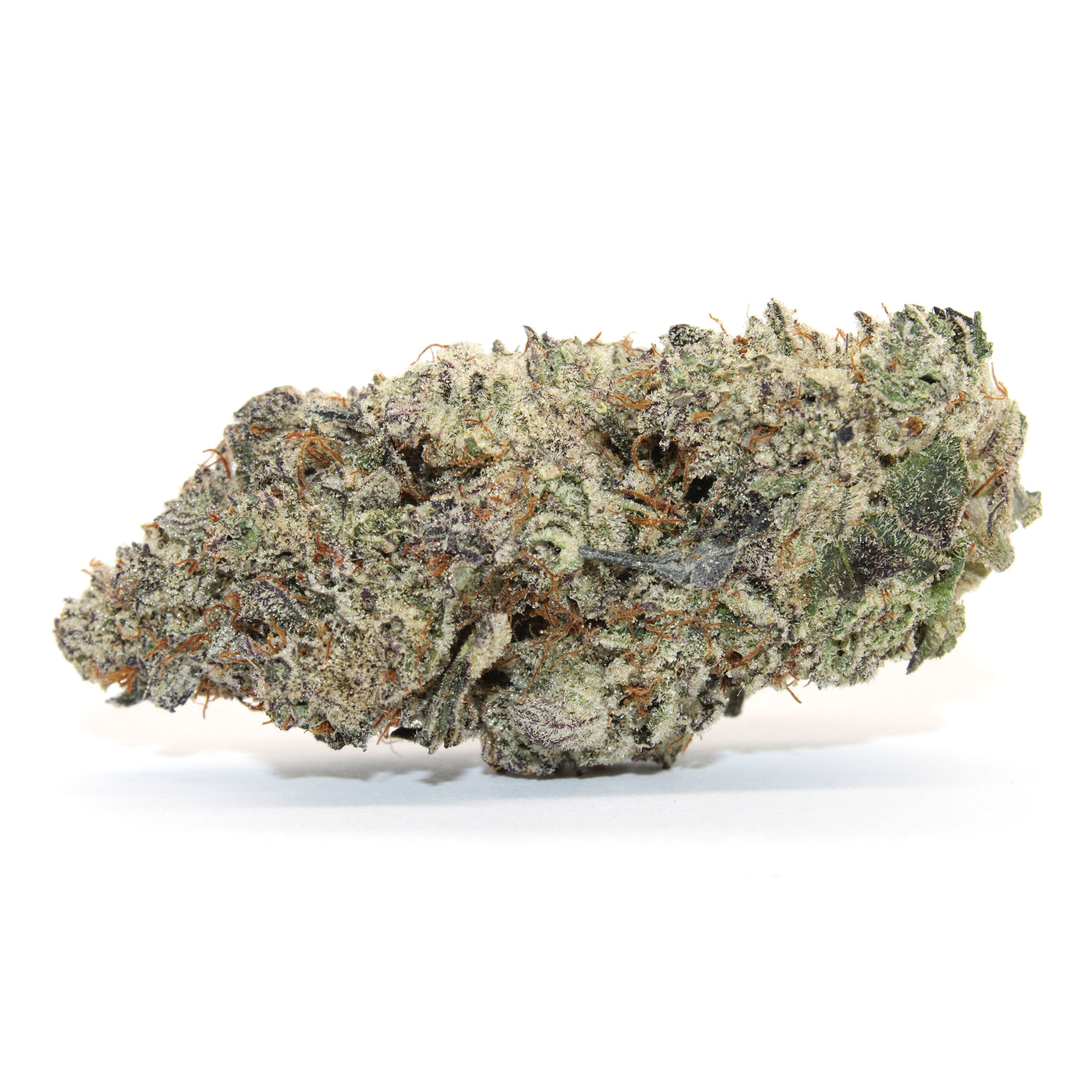 Strawberry Gary Payton Flower 1 Strawberry Gary Payton Flower