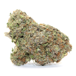 Pug's Breath Flower