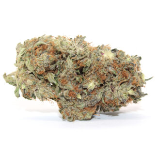 Purple Killer Flower